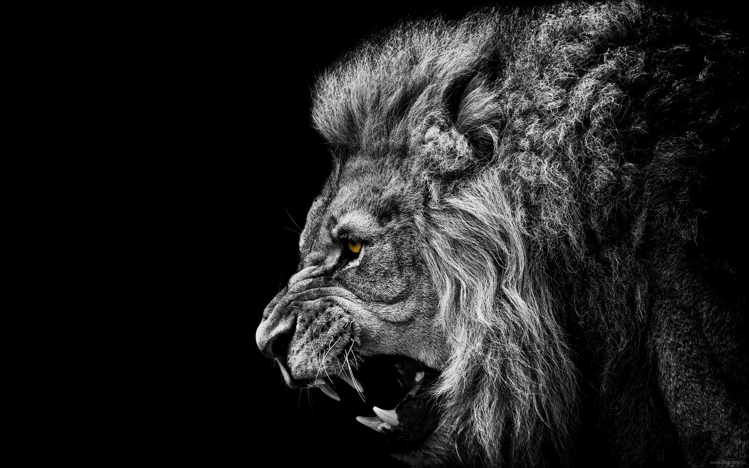 CHV Lion — AI Guardian